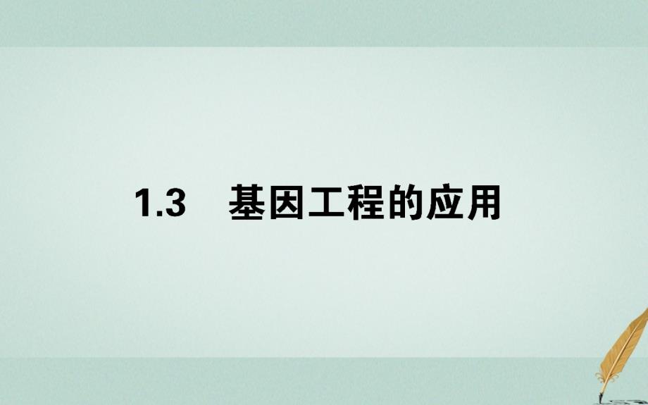 2018版高中生物专题1基因工程1.3基因工程的应用课件新人教版选修3_第1页