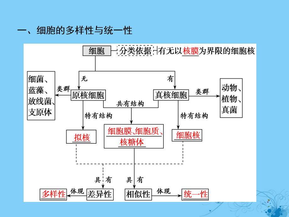 2019版高考生物一轮复习第二单元细胞的基本结构和物质运输第一讲生命活动的基本单位__细胞课件苏教版_第4页