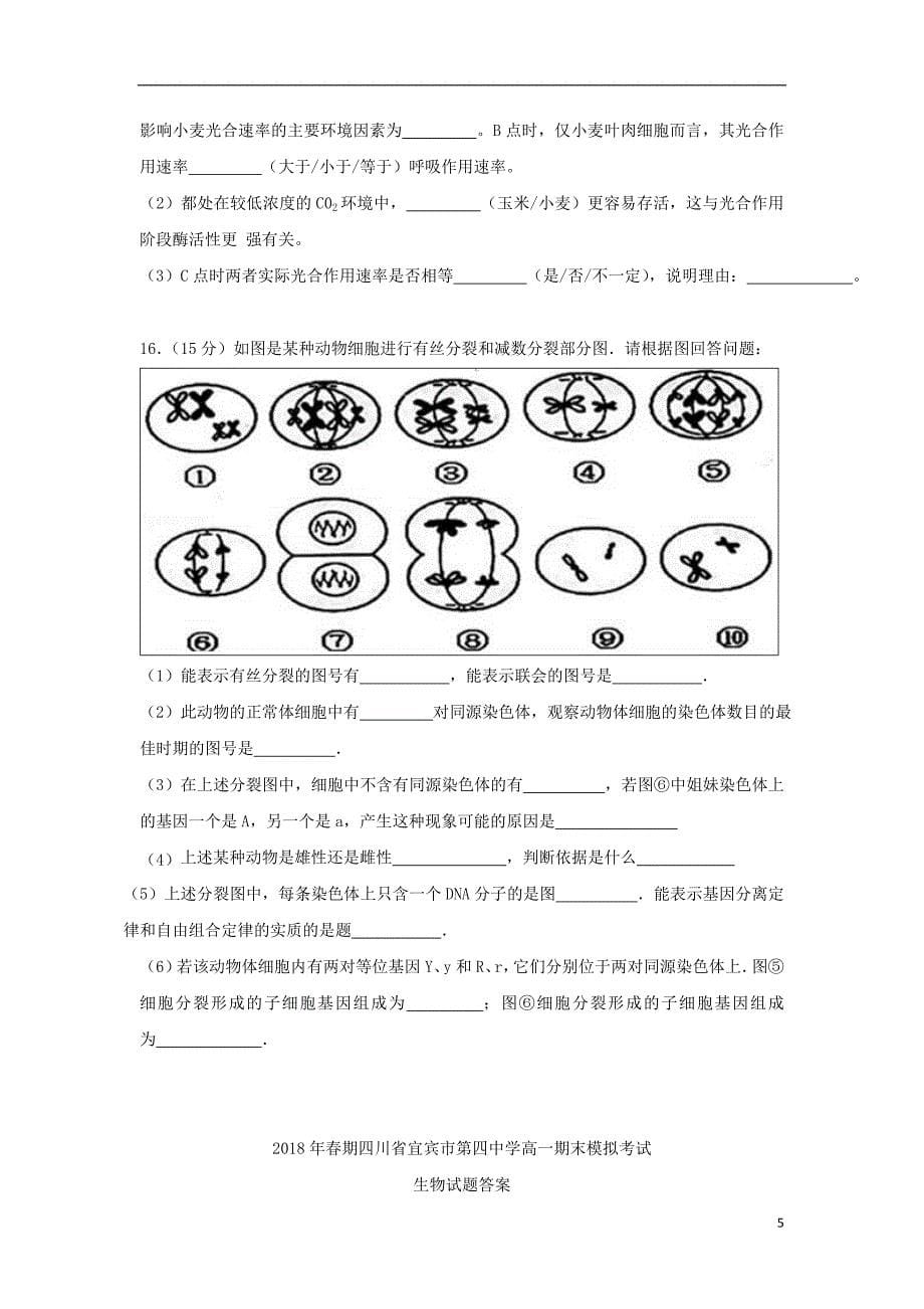 四川省宜宾市第四中学2017-2018学年高一生物下学期期末模拟试题_第5页