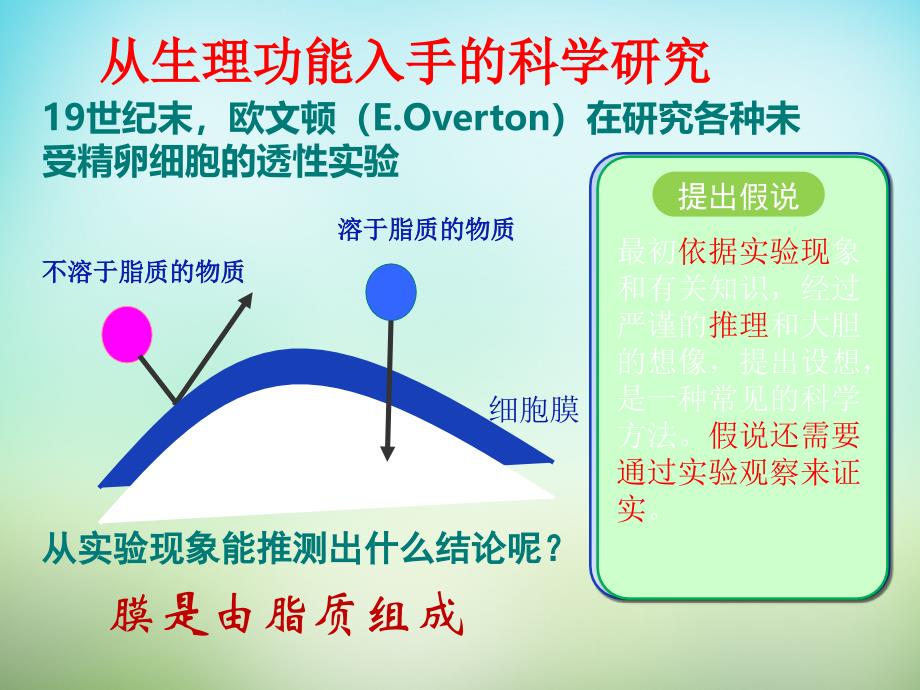 高中生物PPT课件必修1第4章细胞的物质输入和输出第2节生物膜的流动镶嵌模型_第3页