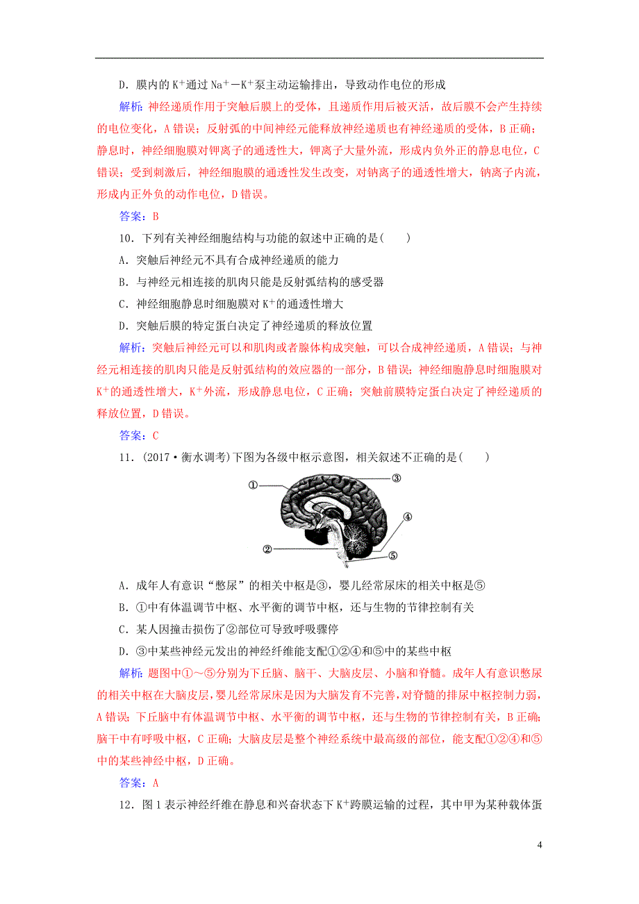 2019届高考生物总复习第八单元生命活动的调节第2讲通过神经系统的调节课时跟踪练_第4页