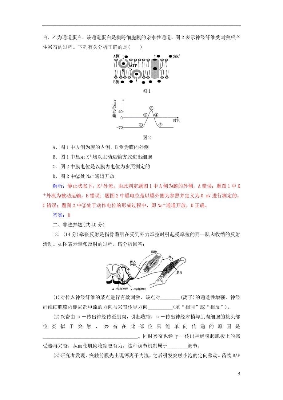 2019届高考生物总复习第八单元生命活动的调节第2讲通过神经系统的调节课时跟踪练_第5页