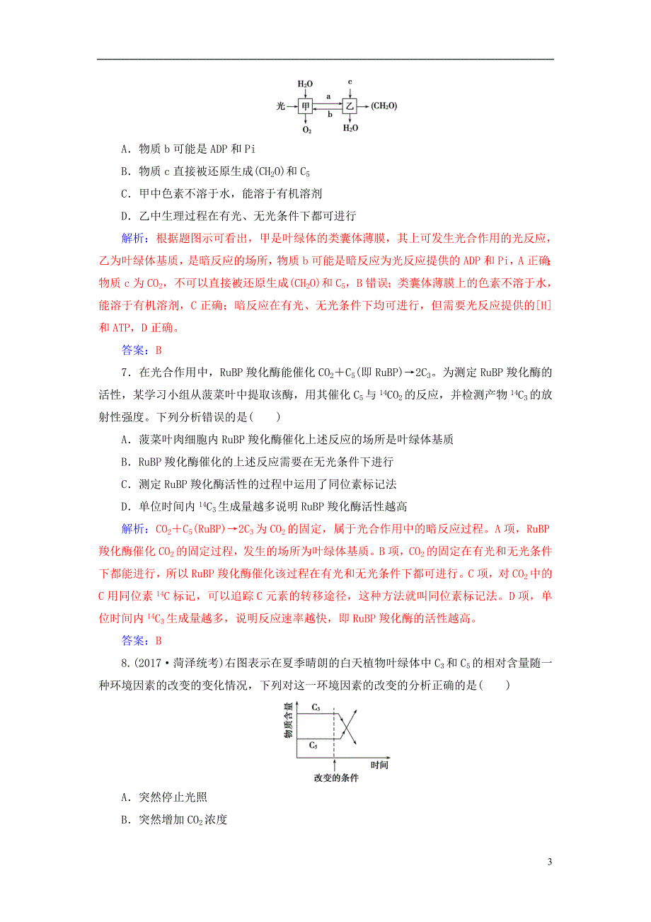 2019版高考生物总复习第三单元细胞的能量供应和利用第3讲光合作用ⅰ课时跟踪练_第3页