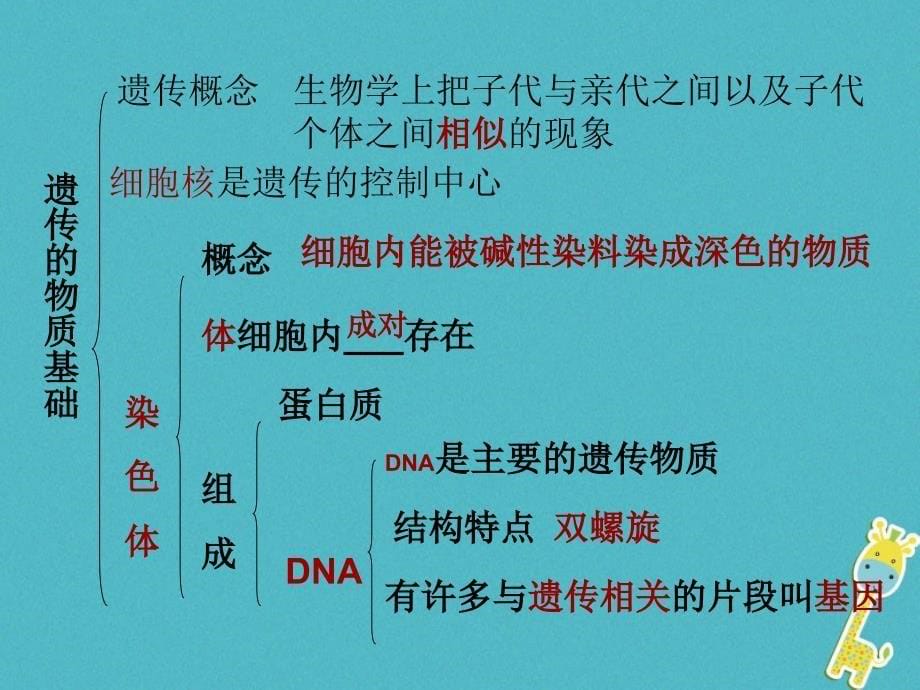 山东省邹平县八年级生物上册第4单元第4章生物的遗传和变异复习课件（新版）济南版_第5页