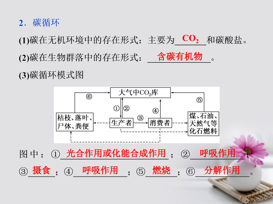 2019届高考生物总复习第九单元生物与环境第33讲物质循环、信息传递和生态系统的稳定性课件新人教版_第4页