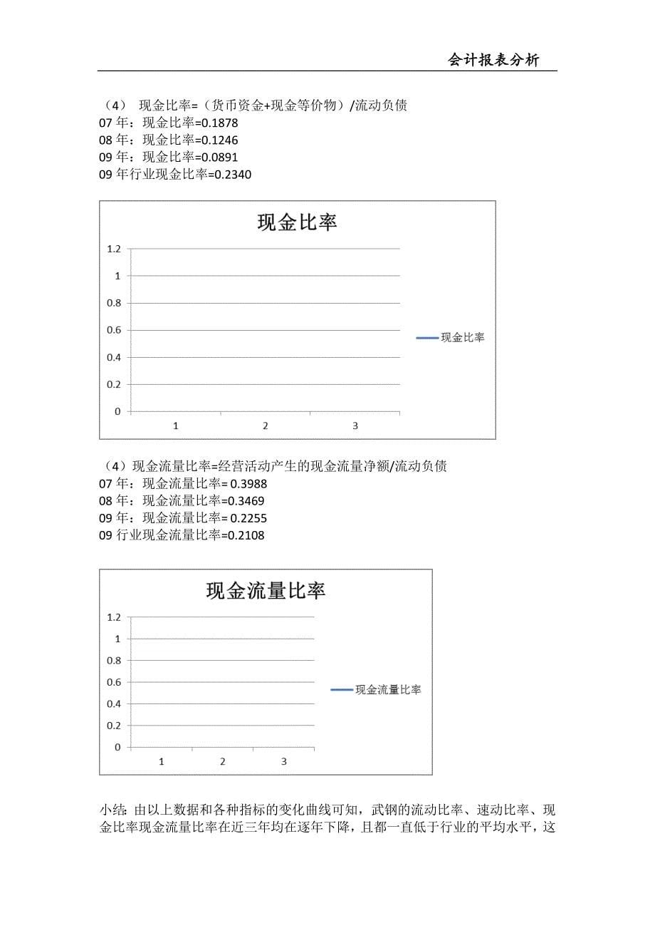 武钢财务报表分析_第5页