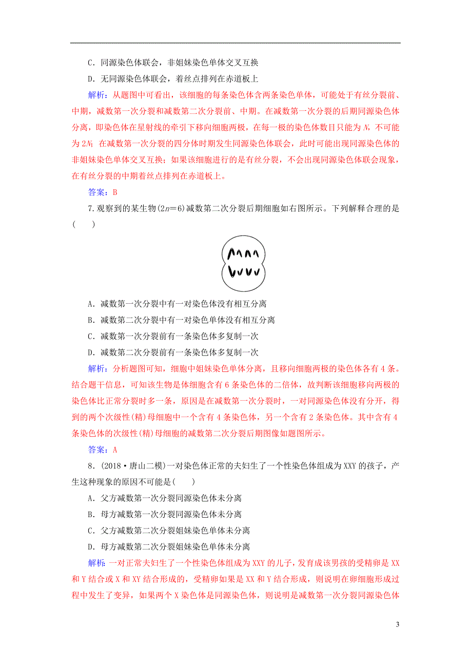 2019届高考生物总复习第四单元细胞的生命历程第2讲减数分裂和受精作用课时跟踪练_第3页