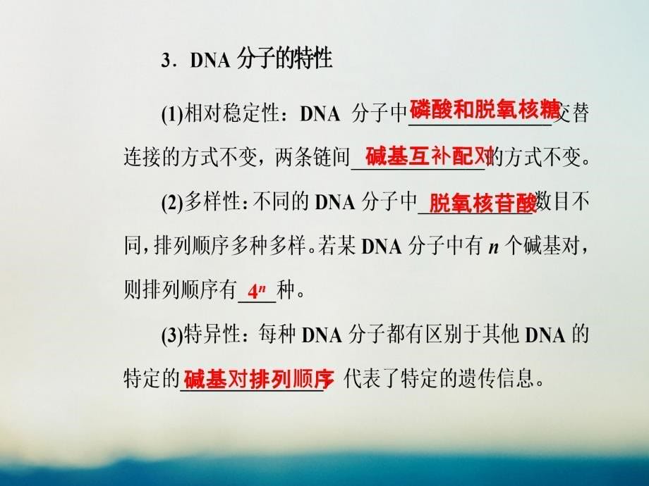 2019版高考生物总复习第六单元遗传的分子基础第2讲dna分子的结构复制和基因的本质课件_第5页