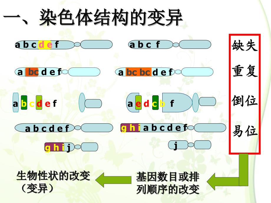 染色体变异--高三复习_第3页