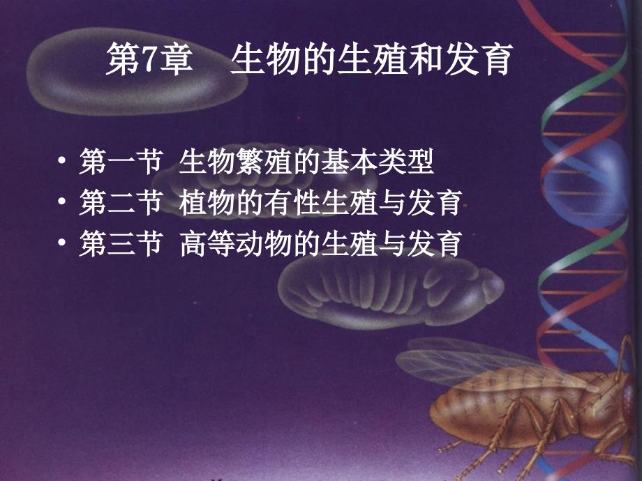 第7章生物的生殖和发育529_第1页