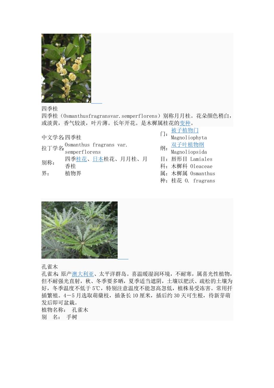 认识岭南植物_第1页
