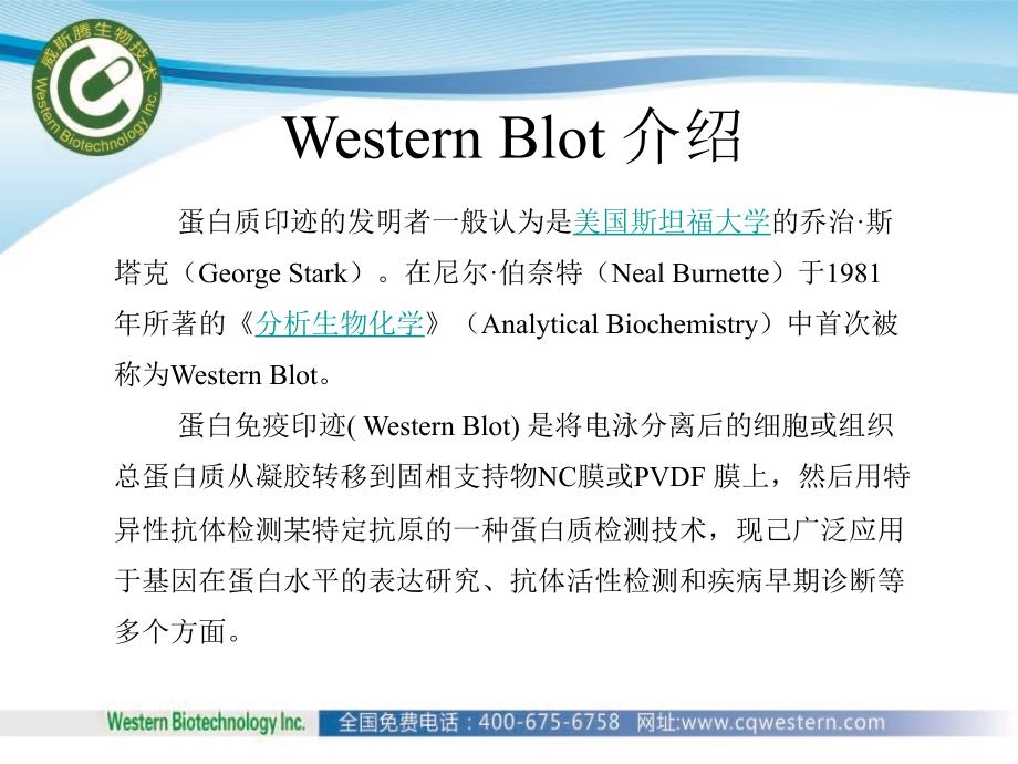 蛋白质印迹法westernblot应用介绍_第3页