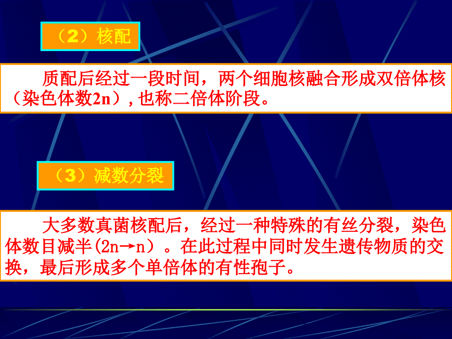 第三章 真核微生物(2)_第2页