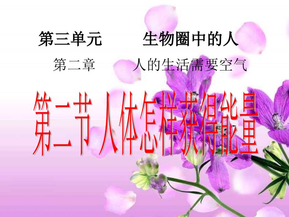 第三单元第二章第二节人体怎样获得能量_第3页