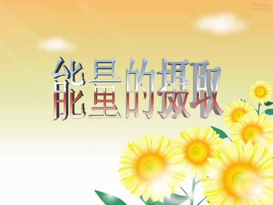 第三单元第二章第二节人体怎样获得能量_第5页