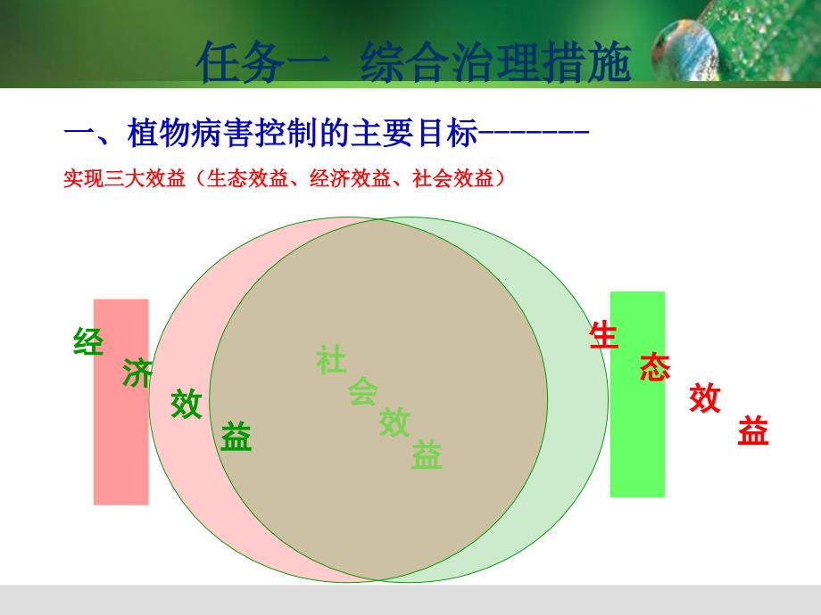 植物病害治理_第3页