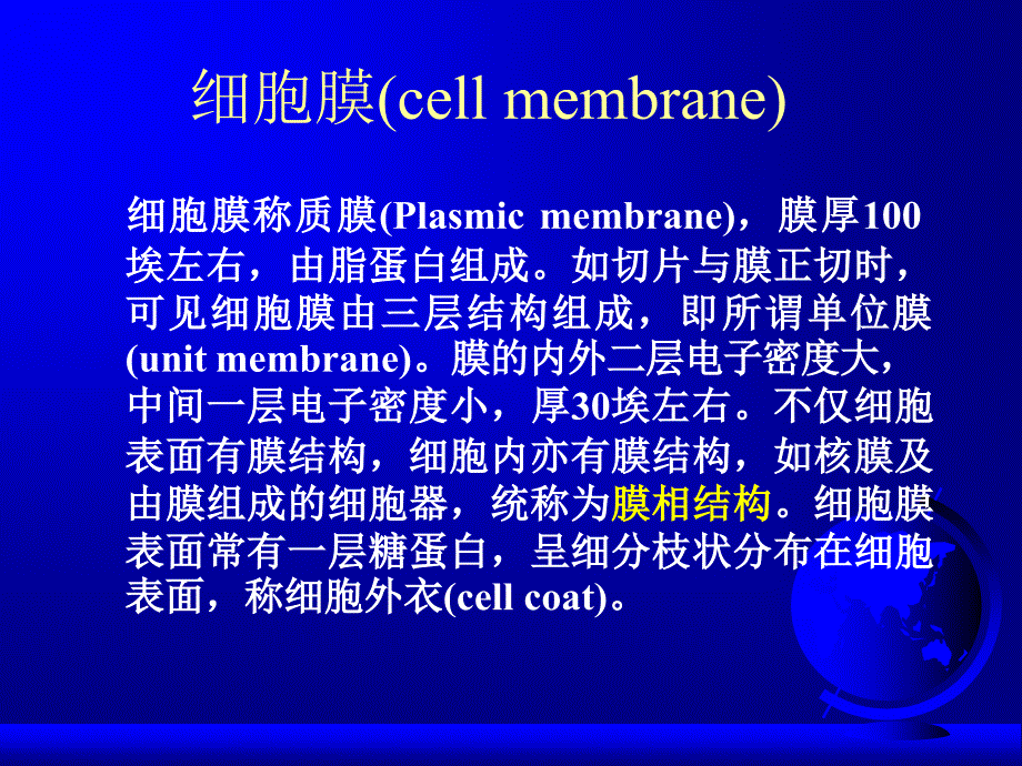 生物化学-真核细胞结构_第3页