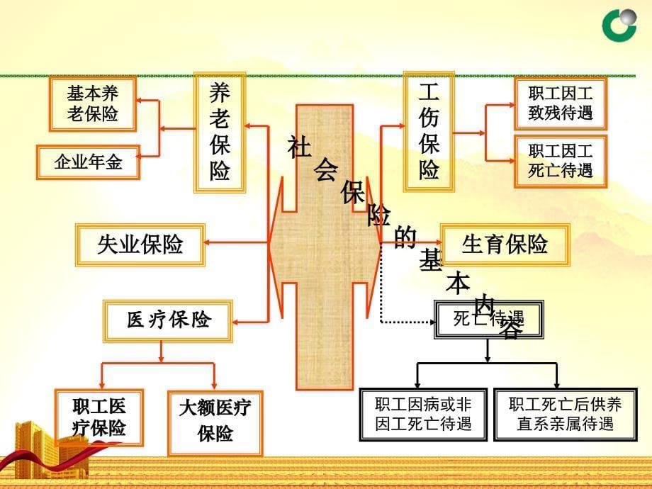 解读社会养老保险_第5页