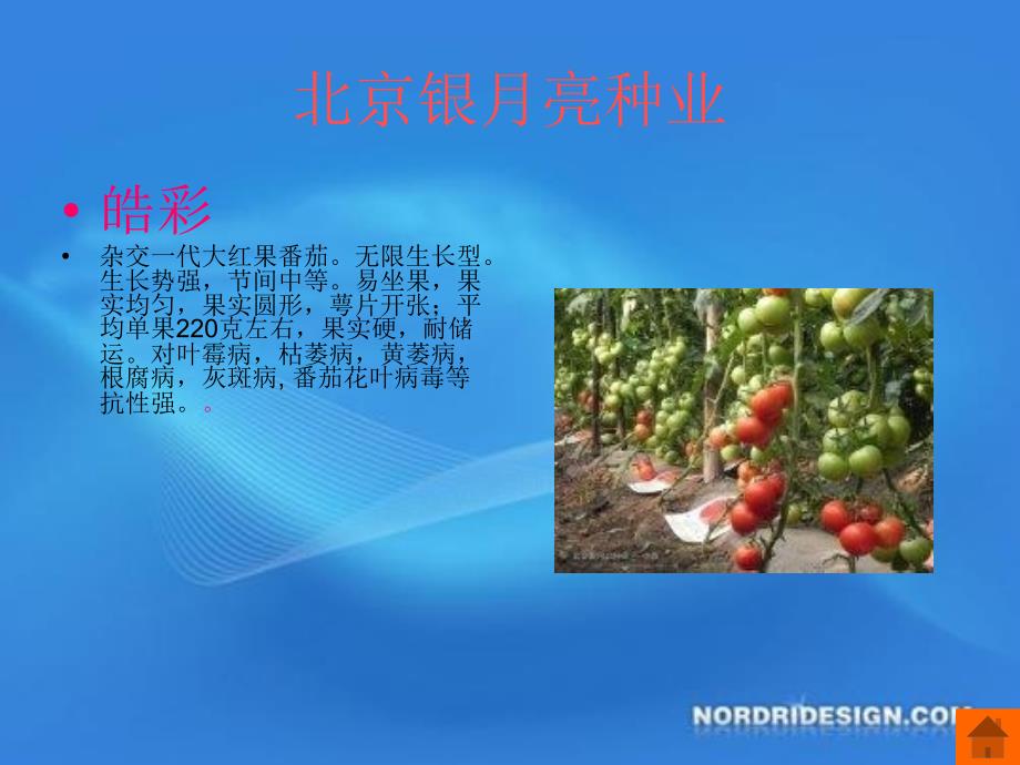 银月亮种业番茄_第2页