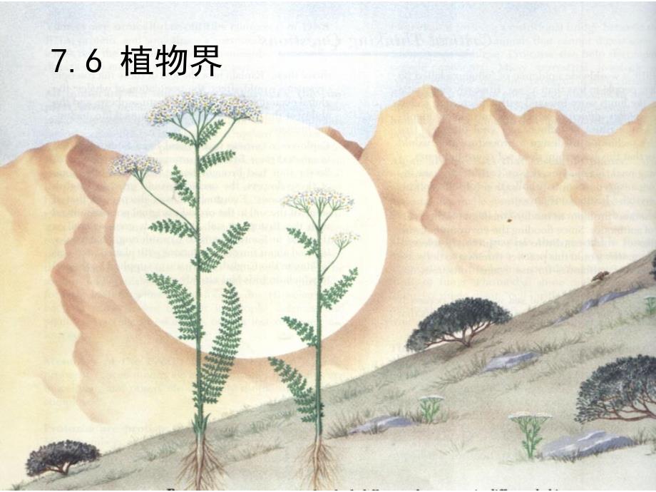 第7章76植物界_第1页