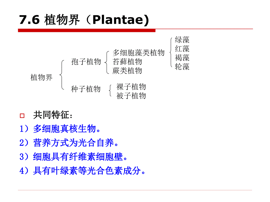 第7章76植物界_第2页