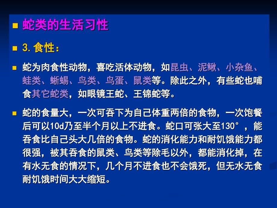 特种经济动物蛇类_第5页