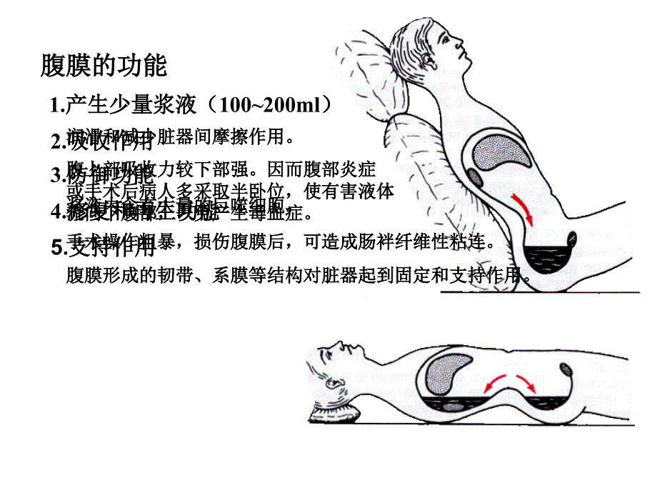 结肠上区一局解_第3页