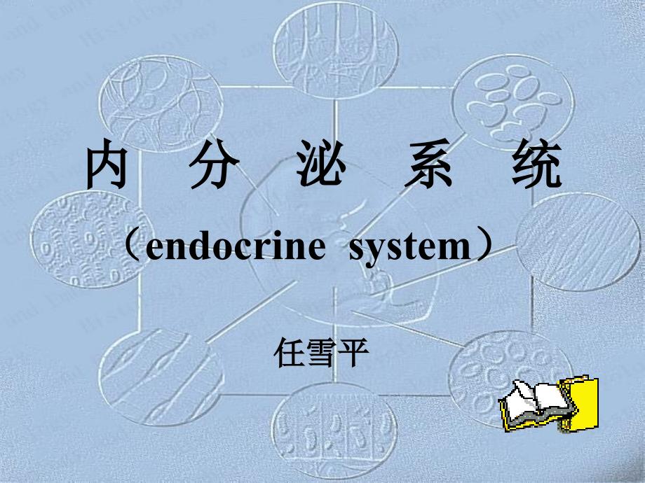 第九章内分泌系统_第1页