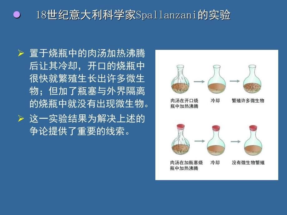 第二讲生命的起源与进化_第5页