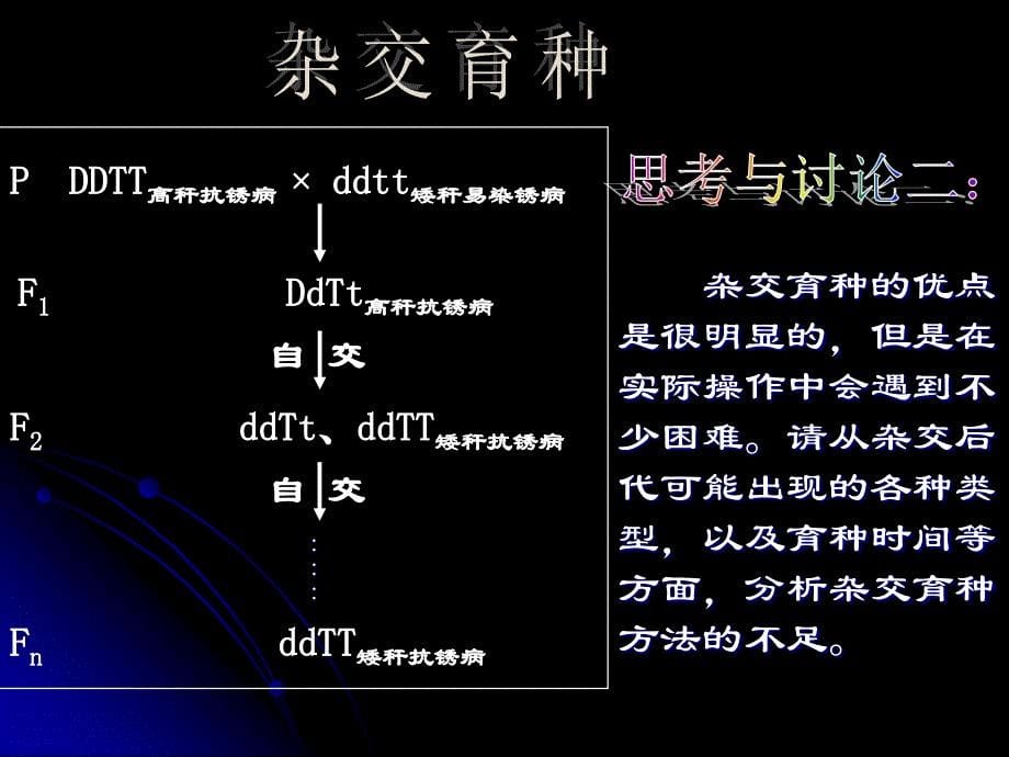 第六章从杂交育种到基因工程高二必修第二册课件_第5页