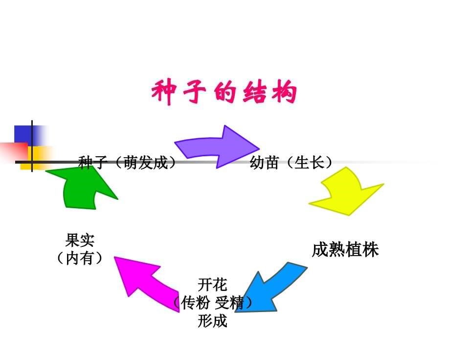 科学三年级下册全套_第5页