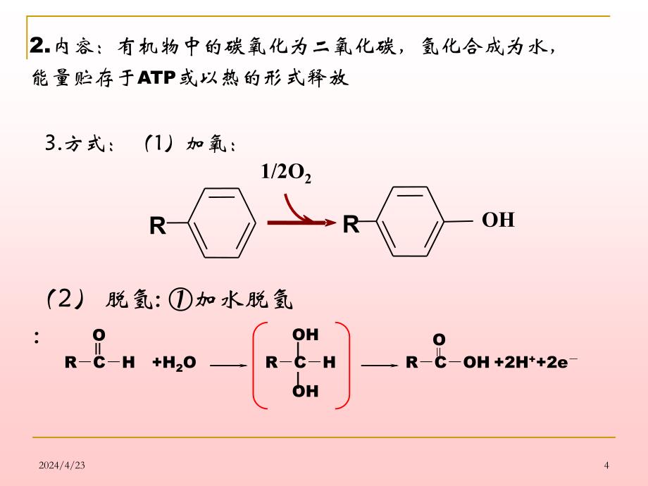 第五章生物氧化2005112_第4页