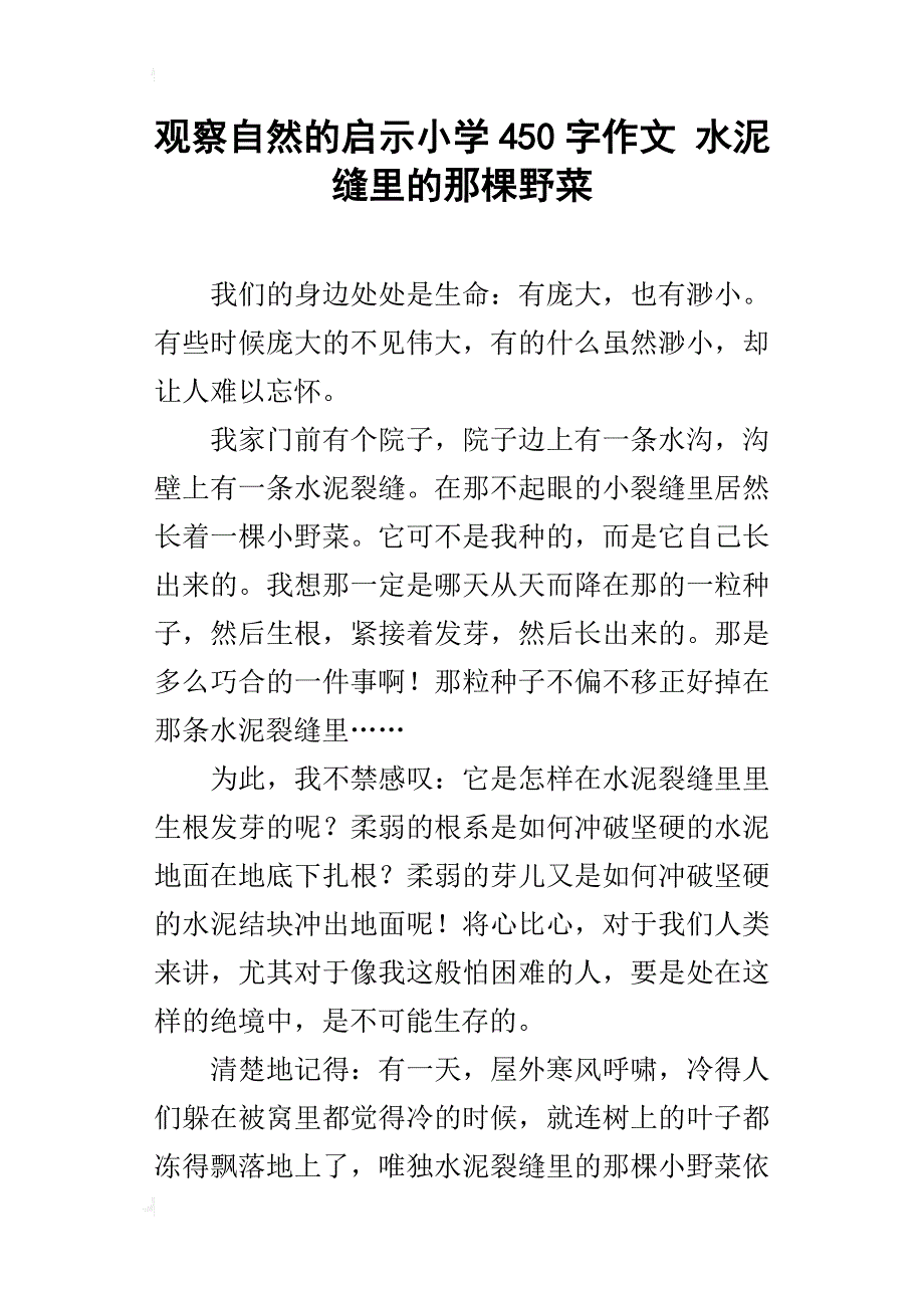 观察自然的启示小学450字作文 水泥缝里的那棵野菜_第1页