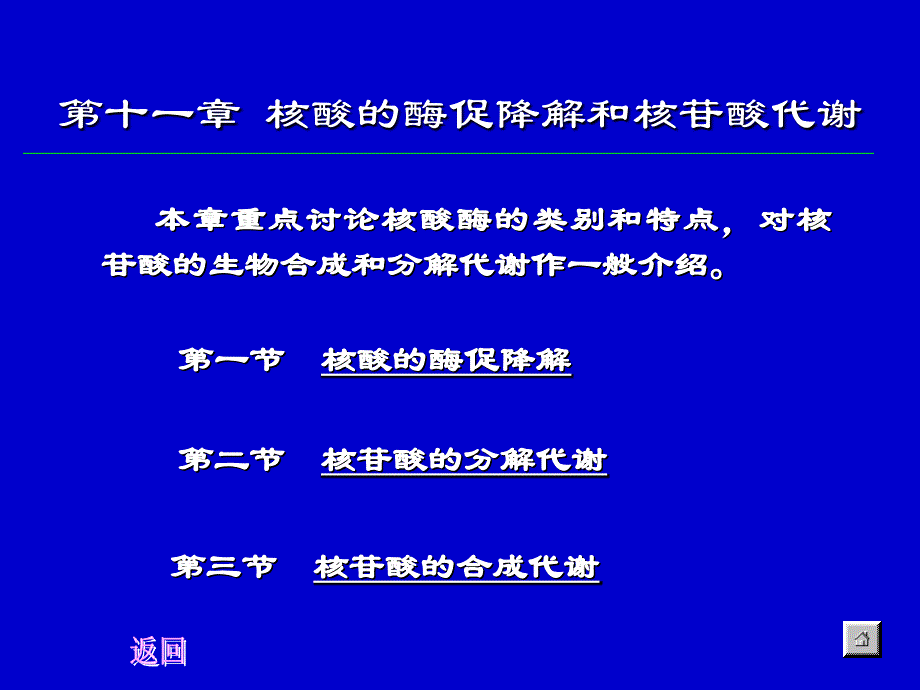 第十一章核酸的酶促降解和核苷酸代谢_第1页