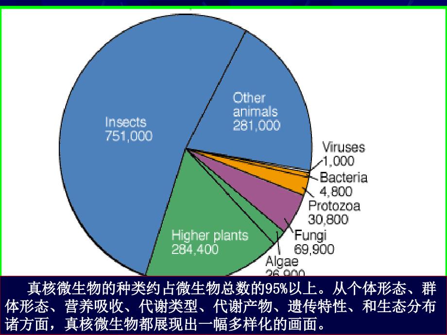 第三章真核微生物1_第2页