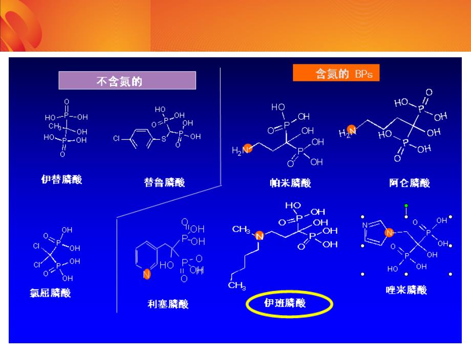 艾本-血液科_第4页