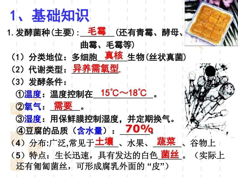 胡萝卜素提取_第5页