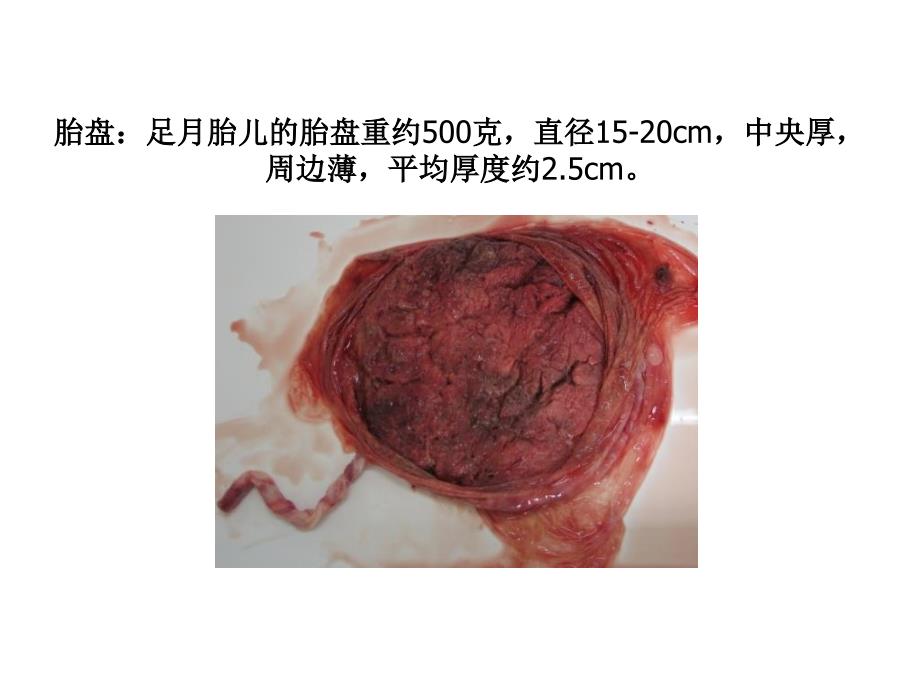 第八次实习02_第2页