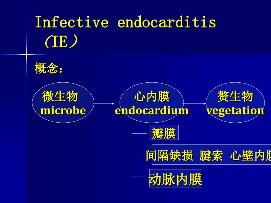 第九章感染性心内膜炎_第2页