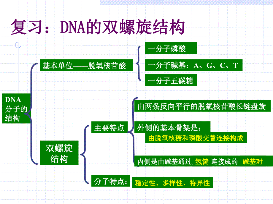 第三章dna的复制1_第3页