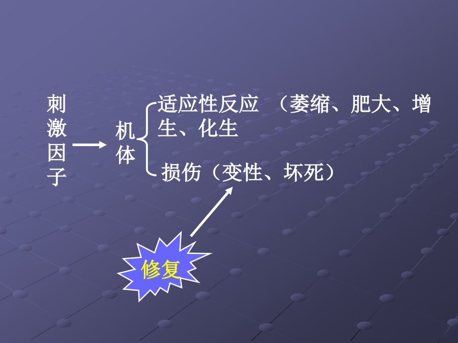 细胞和组织的适应与修复_第2页