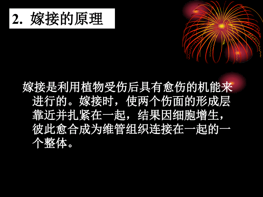 第六章__嫁接技术在园艺生产上的应用_第4页