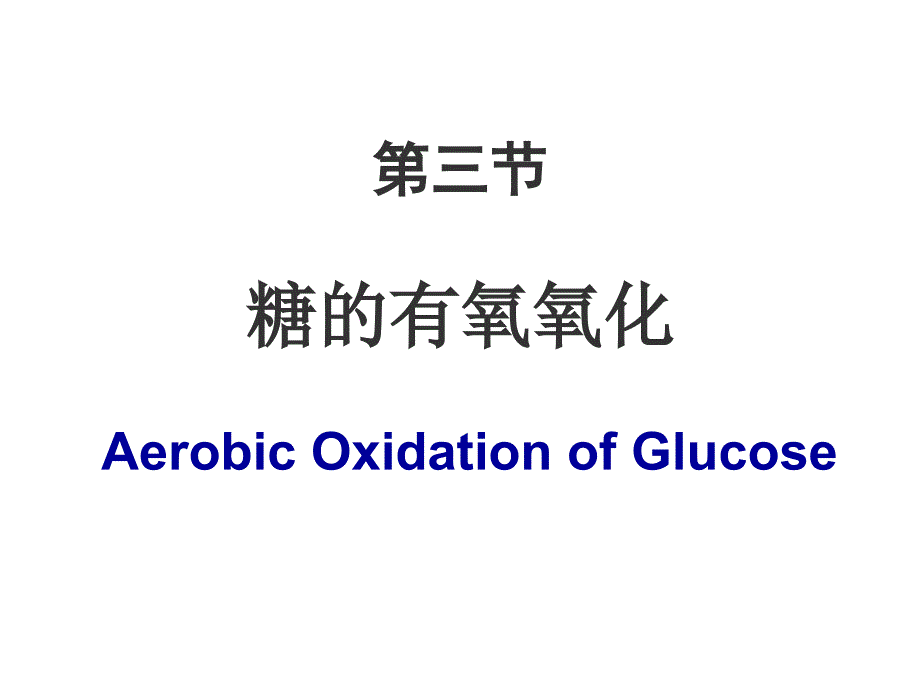 有氧呼吸及三羧酸循环_第1页