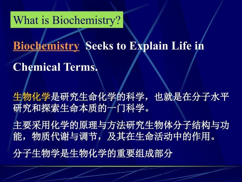 深圳大学生物化学下册代谢总论_第5页