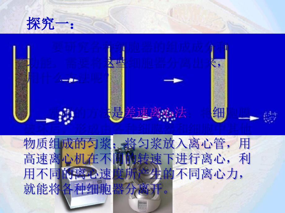 课件范例之细胞器必修一_第4页