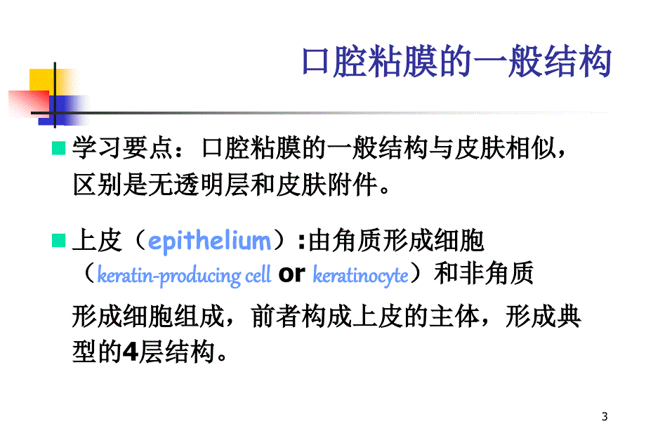 第十三章_口腔黏膜病_第3页