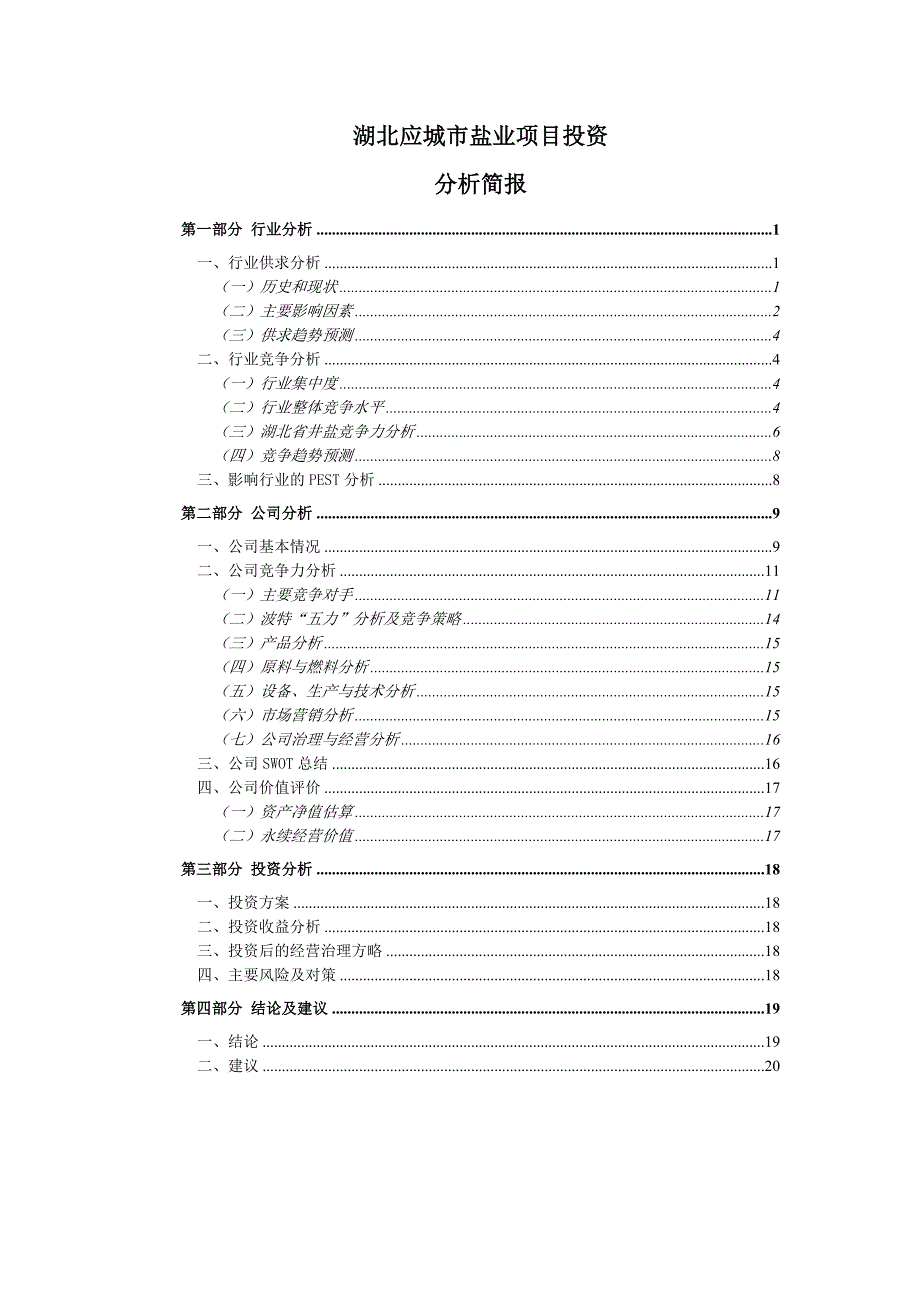 湖北应城盐业项目投资分析简报_第1页