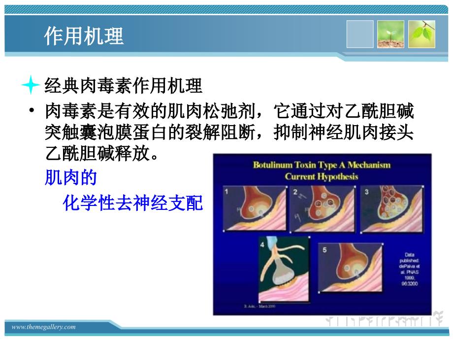 肉毒素注射治疗简介_第4页