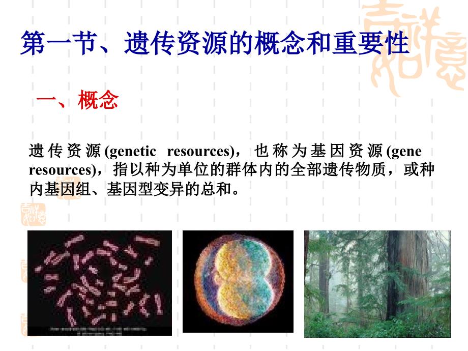 第一章森林基因资源1_第2页