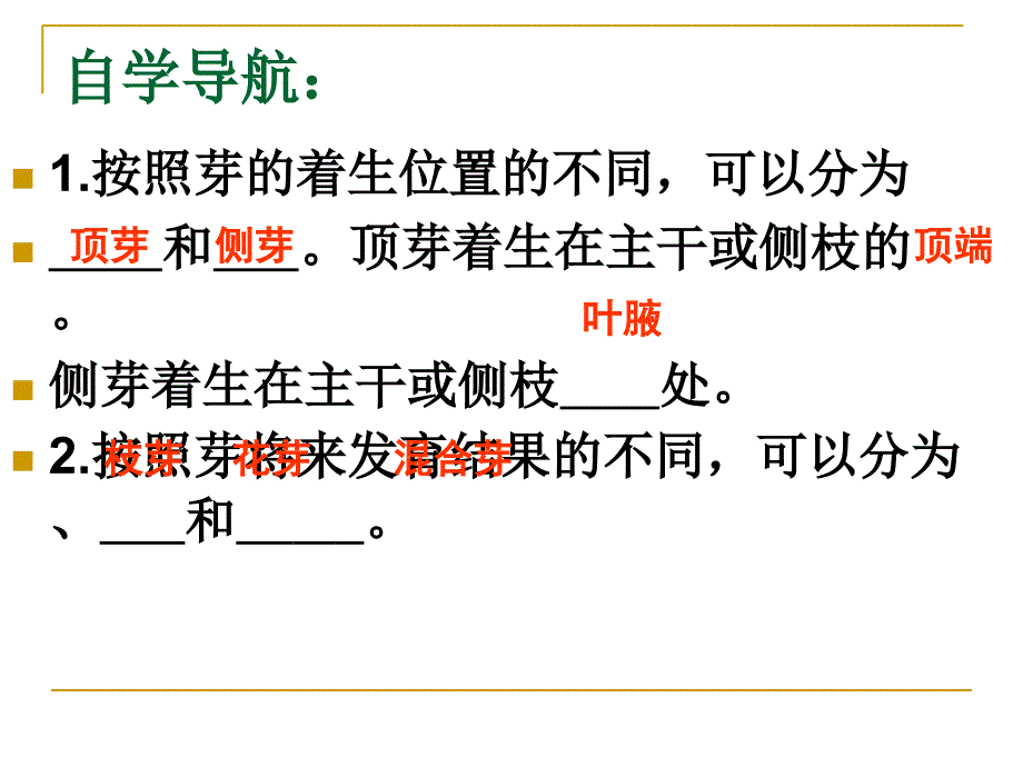 芽的类型和发育_第4页